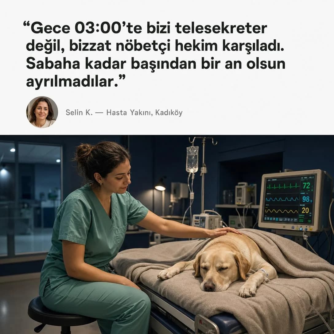A square 1:1 testimonial quote card design combining clean editorial typography and a candid veterinary hospital photograph.