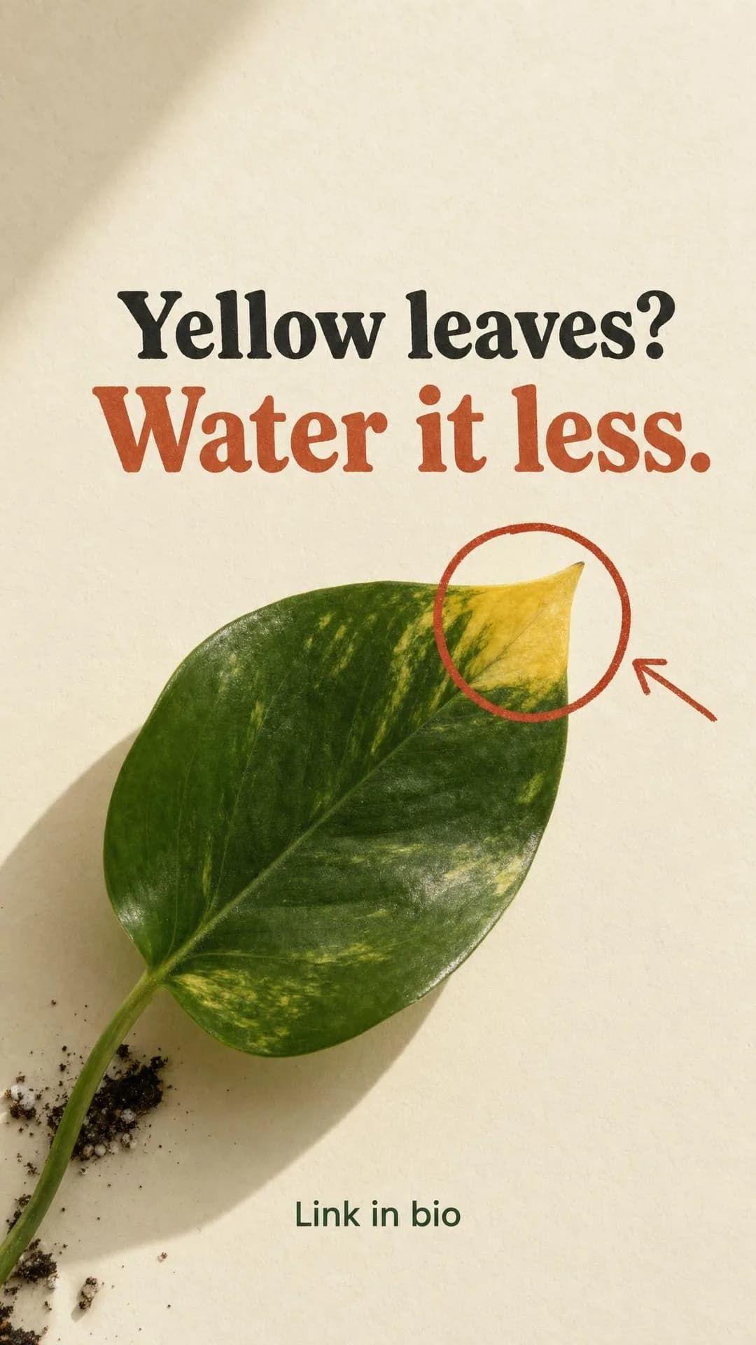 Overhead photo of a single green pothos leaf on a cream background, its tip turned yellow, circled in hand-drawn rust-orange marker with an arrow pointing at it, like a marked-up diagnosis photo. Text at the top reads: Yellow leaves? Water it less. — with Water it less. emphasized in rust orange. Small green sans-serif text at the bottom reads: Link in bio.